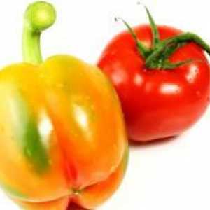 Gnojenje sadnica rajčice i paprike
