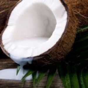 Korištenje kokosa