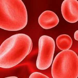 Povećana crvenih krvnih stanica u krvi