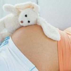 Kasno ovulacije i trudnoća