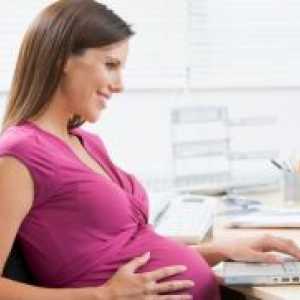 Prava trudnica na radu