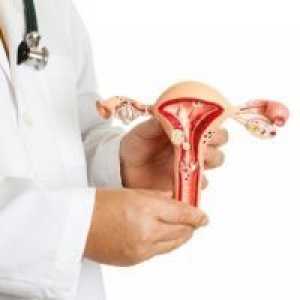 Prekancerozne bolesti grlića maternice