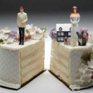 Razlozi za razvod
