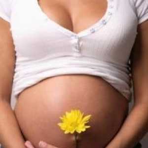 Znakovi za trudnice