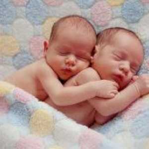 Znakovi blizanaca u ranoj trudnoći