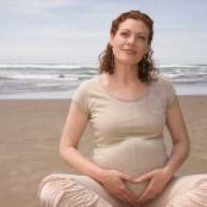 Dimenzije maternice tijekom trudnoće