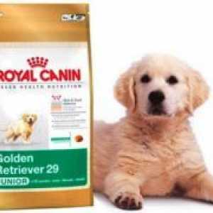 Royal Canin za velike pasmine štenaca