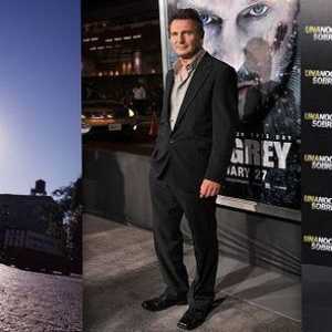 Rast i ostali parametri Liam Neeson