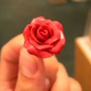 Ruže polimera gline