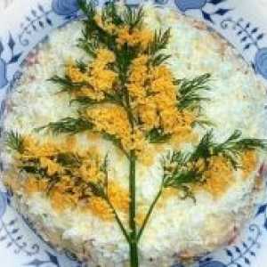 Salata „Mimoza” - recept sa sirom