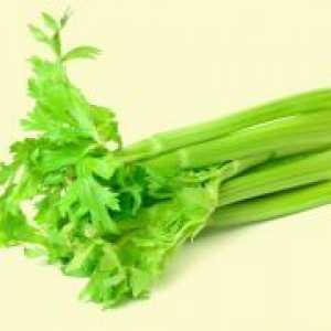 Celer - kalorija