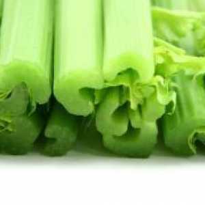 Celer - ljekovita svojstva za mršavljenje