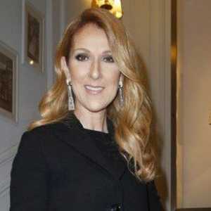 Celine Dion, Marion Cotillard i drugi na show nova kolekcija Christian Dior