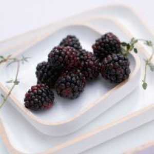 Mulberry - koristi i štete