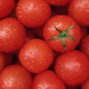 Koliko kalorija u svježe rajčice?
