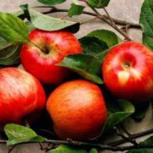 Koliko ugljikohidrata u jabuku?