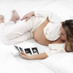 Ultrazvučni pregled u trudnoći