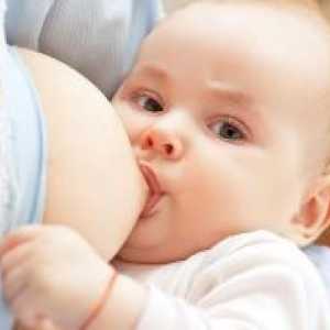 Mješoviti hranjenja novorođenčadi