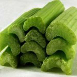 Celer - koristi i štete