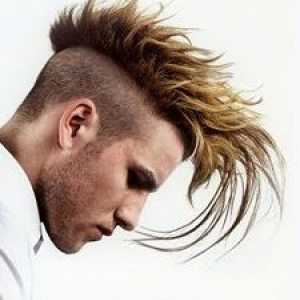 Stilovi i vrste muške frizure: odabrati najbolje rješenje