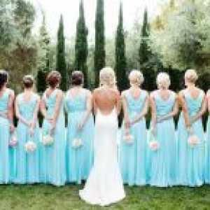 Vjenčanje u plavom