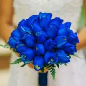 Vjenčanje u plavom