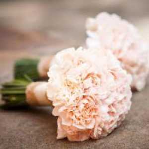 Vjenčanje buket ruža