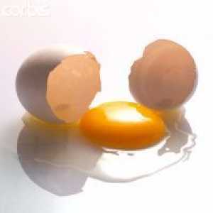 Sirova jaja - koristi i štete