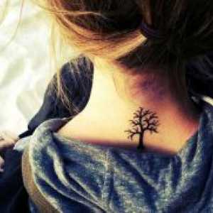 Tattoo stablo - vrijednost