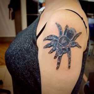 Spider tetovaža - vrijednost