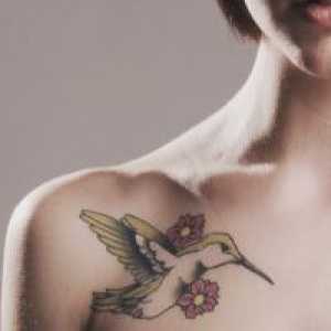 Ptica tetovaža