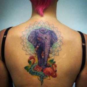 Slon Tattoo - vrijednost