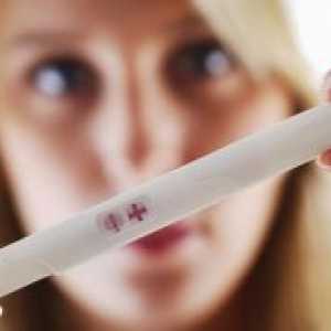 Test na trudnoću - Uputa