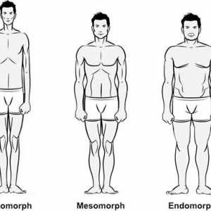 Tipovi tijela za muškarce i žene