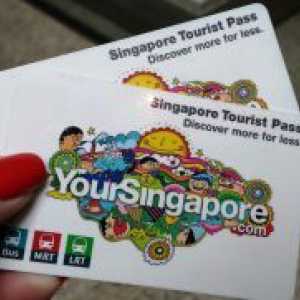Turistička propusnica Turistička Karta Singapur