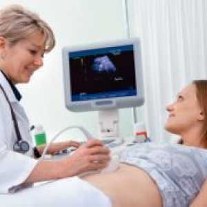 Ultrazvuk maternica i privjesci
