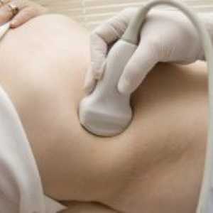 Bubrežnih ultrazvuk - priprema za proučavanje
