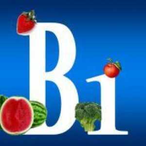 Koje namirnice sadrže vitamin B1?
