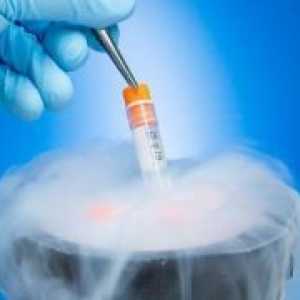 Ostakljenja embriji