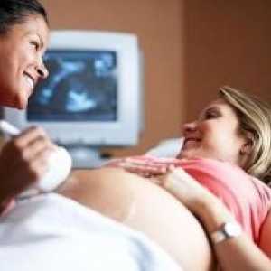 Šteta ultrazvuk u trudnoći