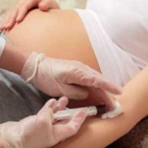 Drugi screening u trudnoći