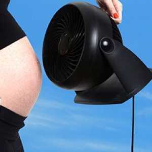 Visoka temperatura tijekom trudnoće