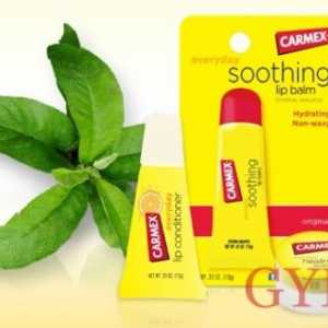 Zaštita osjetljiva usne kože balzam carmex